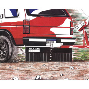 48" x20" Motorhome Tow Guard