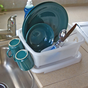 Mini Dish Drainer w/ Tray