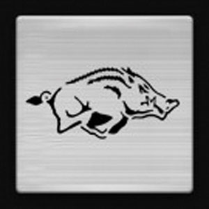 University of Arkansa Sportula