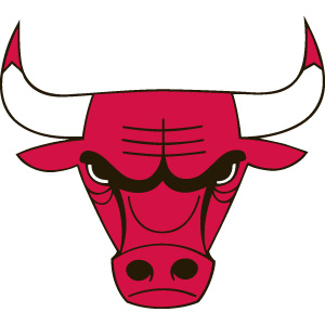 Chicago Bulls Powerdecal