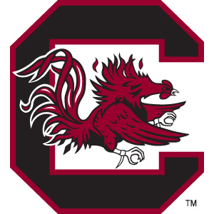 South Carolina Powerdecal