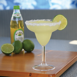 Unbreakable Margarita Glasses, 2/pk