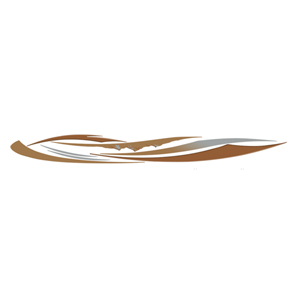 Copper/Gold/Silver Dakota Body Graphic Decal