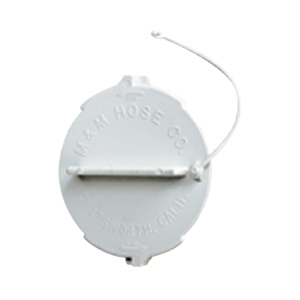 Flat Style Cap w/Strap, each