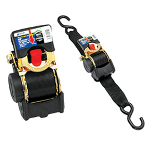 2" x 10' 1100 lb RTRC Ratchet Tie Down, ea