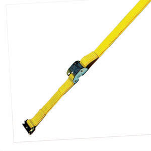 2" x 12' Series E/A Cam Strap