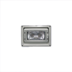 White Adjustable Ramp Light