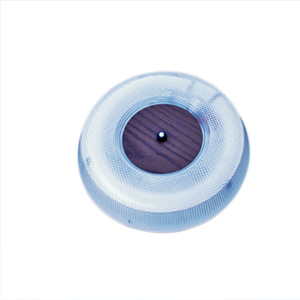 22 Watt Fluorescent Extra