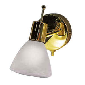 Brass Pin Up Light