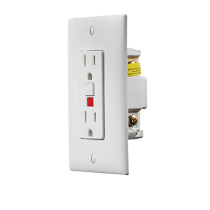 White Dual GFCI Outlet w/ Cover Plate