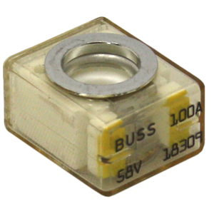 100 Amp Class T Fuse Only