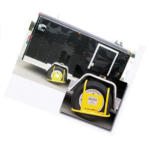 Type B The Immobilizer