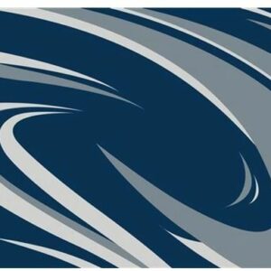 Faulkner 53009 Blue And Gray Modern Swish RV Patio Mat - 9' x 18'