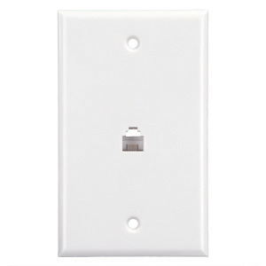 Polar White Interior Phone Plate