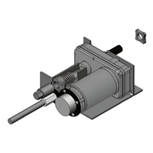 LT Global Motor Assy w/ 6" Extension